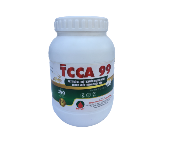 TCCA 99 
