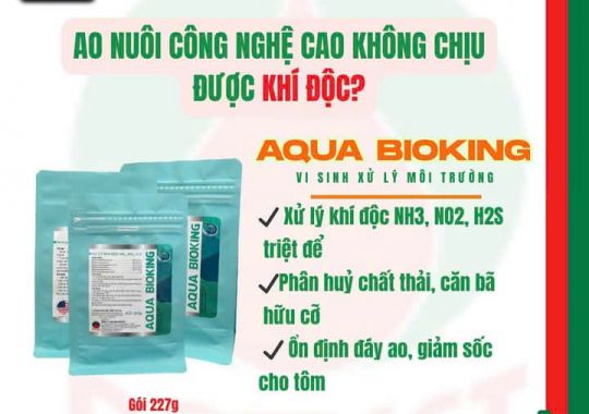 AO NUÔI CÔNG NGHỆ CAO KHÔNG CHỊU ĐƯỢC KHÍ ĐỘC – ĐÃ CÓ AQUA BIOKING!