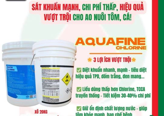 PHÒNG BỆNH CHỦ ĐỘNG
