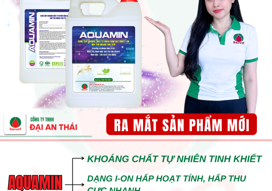 RA MẮT SẢN PHẨM AQUAMIN – KHOÁNG TỰ NHIÊN DẠNG I-ON, HẤP THU NHANH CHO TÔM