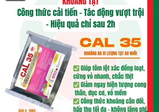  CAL 35 - KHOÁNG TẠT HIỆU QUẢ CHỈ SAU 24H