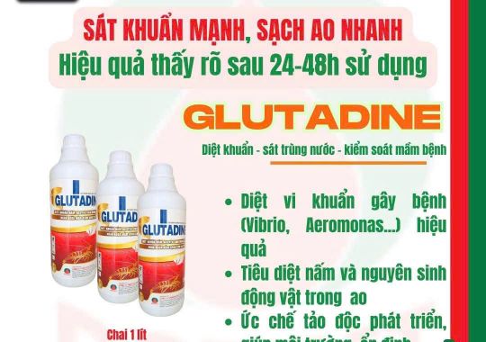 GLUTADINE - GIẢI PHÁP SÁT TRÙNG TOÀN DIỆN, NGĂN NGỪA MẦM BỆNH CHO TÔM, CÁ