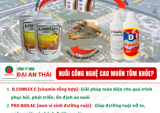 NUÔI TÔM CÔNG NGHỆ CAO – MUỐN TÔM KHỎE?