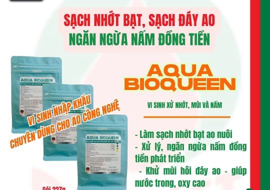 AQUA BIOQUEEN - SẠCH NHỚT BẠT, KHỬ MÙI, DIỆT NẤM ĐÁY AO HIỆU QUẢ
