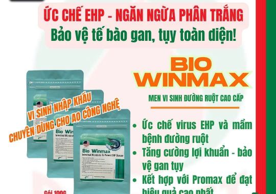 BIO WINMAX - NGĂN PHÂN TRẮNG, ỨC CHẾ EHP, BẢO VỆ GAN TỤY CHO TÔM HIỆU QUẢ