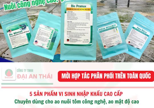 5 VI SINH NHẬP KHẨU HIỆU QUẢ CHO AO NUÔI CÔNG NGHỆ - MẬT ĐỘ CAO