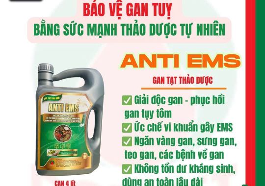 ANTI EMS - BẢO VỆ GAN TỤY TÔM BẰNG SỨC MẠNH THẢO DƯỢC TỰ NHIÊN