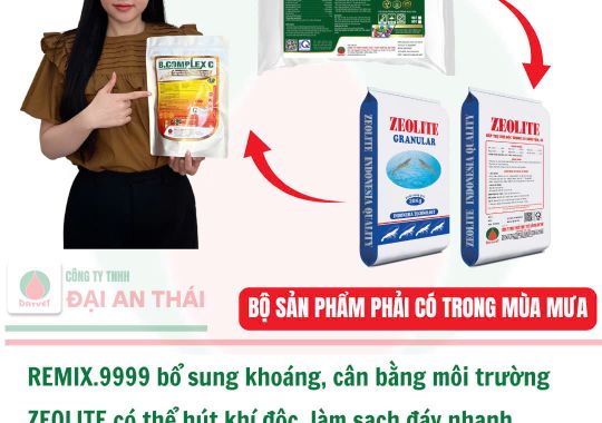 AO NUÔI ĐỔI MÀU, pH TUỘT, KHÍ ĐỘC TĂNG, GAN TÔM MỜ, PHÂN LỎNG - HÃY DÙNG NGAY BỘ SẢN PHẨM NÀY