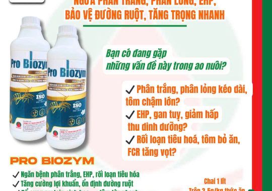 PRO BIOZYM - GIẢI PHÁP VI SINH TOÀN DIỆN