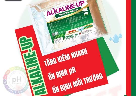 ALKALINE-UP TĂNG KIỀM NHANH, ỔN ĐỊNH pH, ỔN ĐỊNH MÔI TRƯỜNG