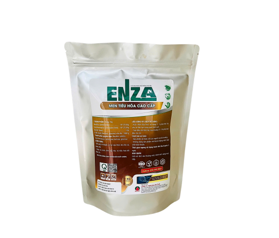 ENZA 