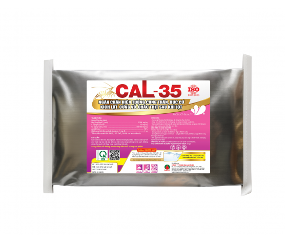 CAL - 35
