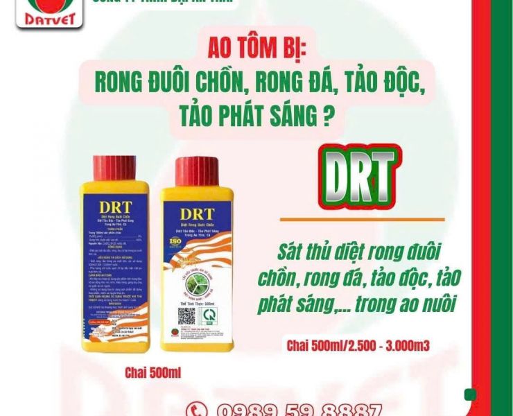 DRT - GIẢI PHÁP HIỆU QUẢ NHẤT CHO NGƯỜI NUÔI TÔM CÁ KHI AO NUÔI BỊ RONG ĐUÔI CHỒN, RONG ĐÁ, TẢO ĐỘC