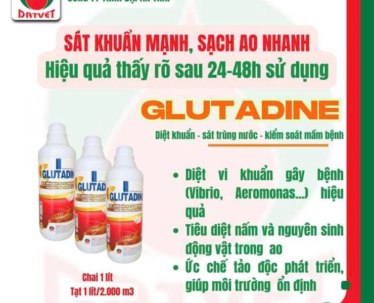 GLUTADINE - GIẢI PHÁP SÁT TRÙNG TOÀN DIỆN, NGĂN NGỪA MẦM BỆNH CHO TÔM, CÁ