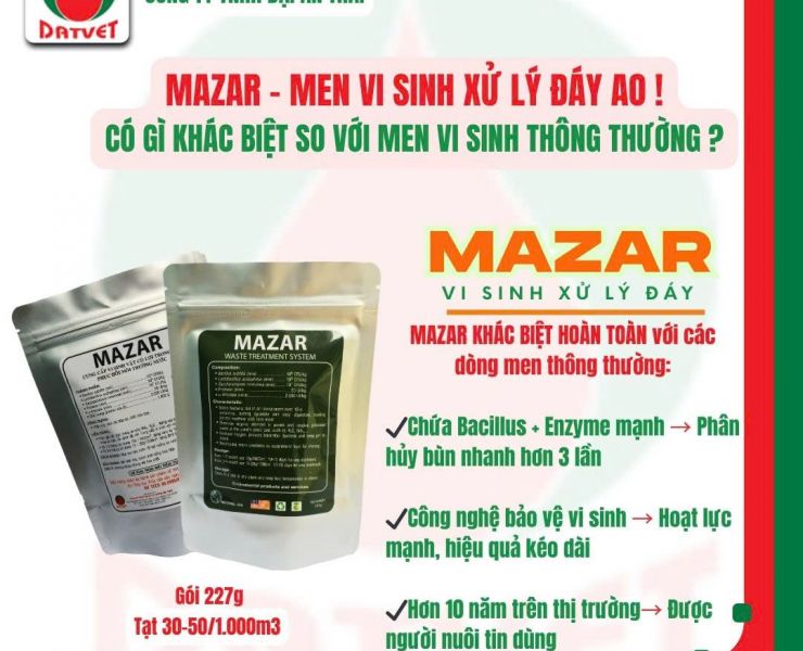 ĐÁY AO SẠCH – TÔM CÁ KHỎE, LỚN NHANH, ĐẠT ĐẦU CON!
