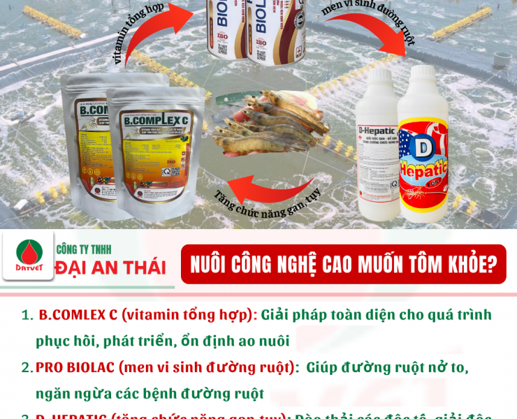 NUÔI TÔM CÔNG NGHỆ CAO – MUỐN TÔM KHỎE?