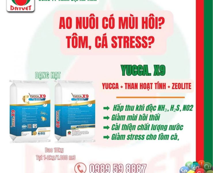 YUCCA X9 - Xử lý khí độc NH₃, H₂S, NO₂  - Giúp tôm cá khỏe mạnh, ao sạch!