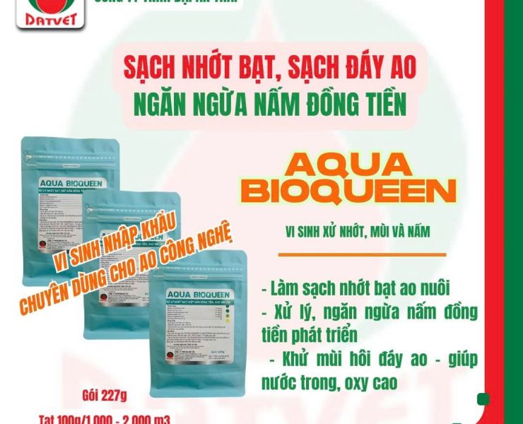 AQUA BIOQUEEN - SẠCH NHỚT BẠT, KHỬ MÙI, DIỆT NẤM ĐÁY AO HIỆU QUẢ