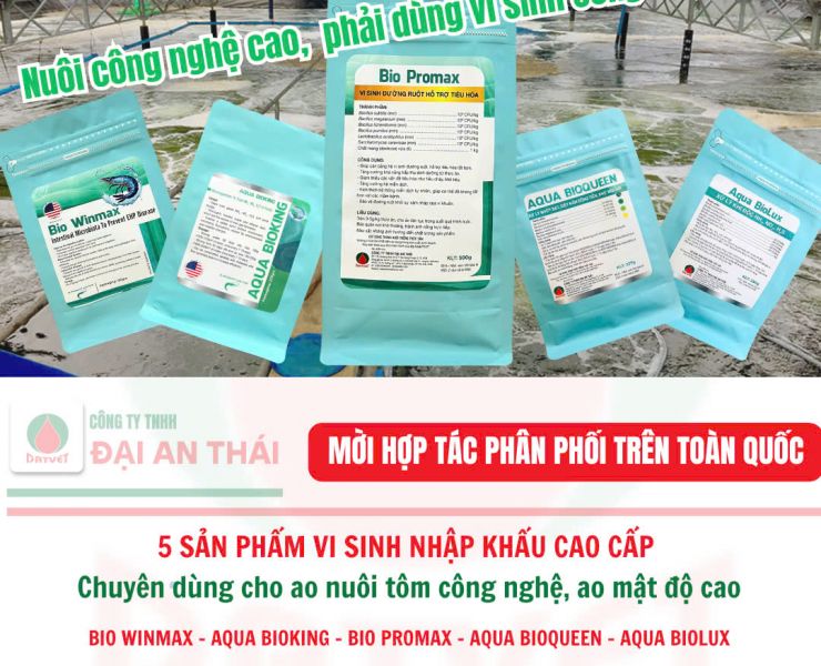 5 VI SINH NHẬP KHẨU HIỆU QUẢ CHO AO NUÔI CÔNG NGHỆ - MẬT ĐỘ CAO