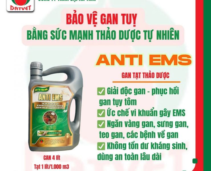 ANTI EMS - BẢO VỆ GAN TỤY TÔM BẰNG SỨC MẠNH THẢO DƯỢC TỰ NHIÊN