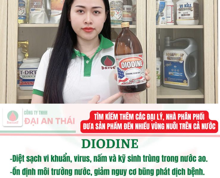 AO NUÔI BỊ Ô NHIỄM – BẠN CÓ ĐANG XỬ LÝ ĐÚNG CÁCH?
