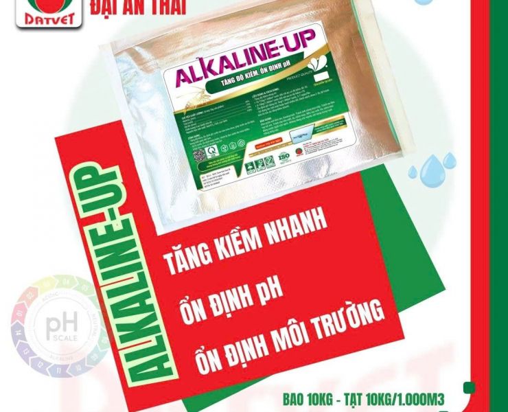 ALKALINE-UP TĂNG KIỀM NHANH, ỔN ĐỊNH pH, ỔN ĐỊNH MÔI TRƯỜNG
